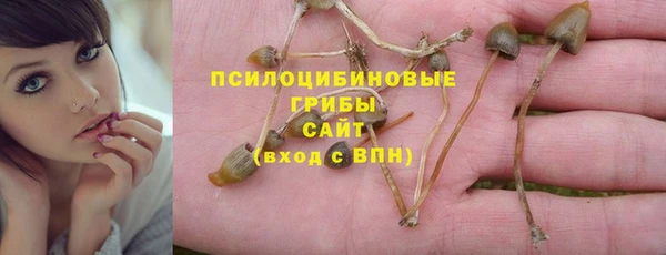 СК Медногорск