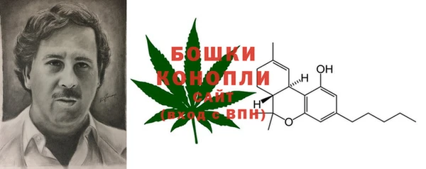 СК Медногорск