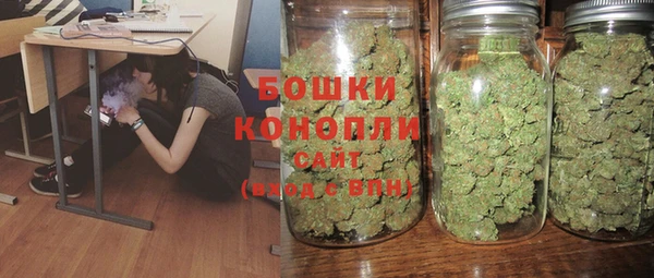 СК Медногорск