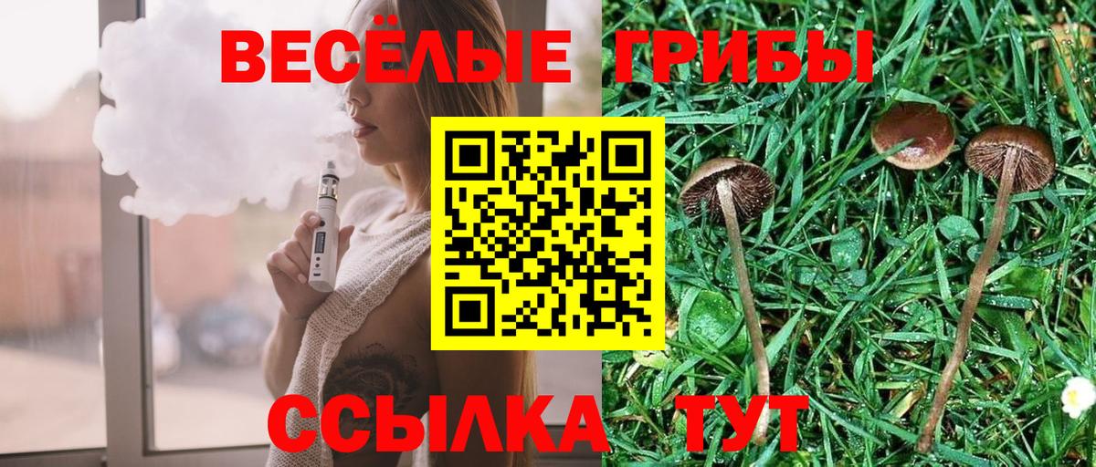 Галлюциногенные грибы MAGIC MUSHROOMS  где купить   Ханты-Мансийск 