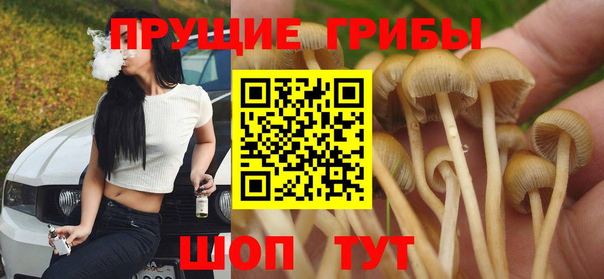 Галлюциногенные грибы MAGIC MUSHROOMS Ханты-Мансийск